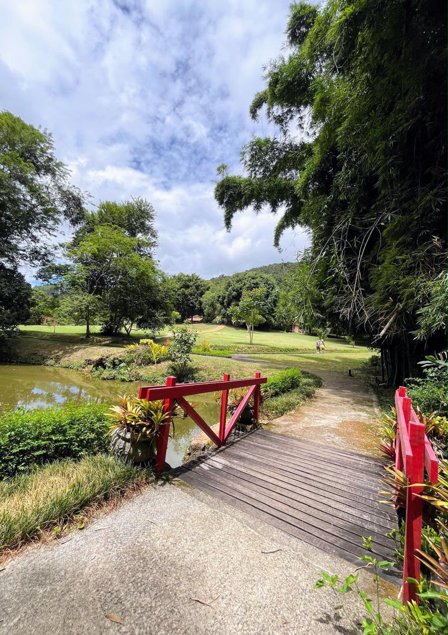 Ponte vermelha sobre lago no jardim da fazenda