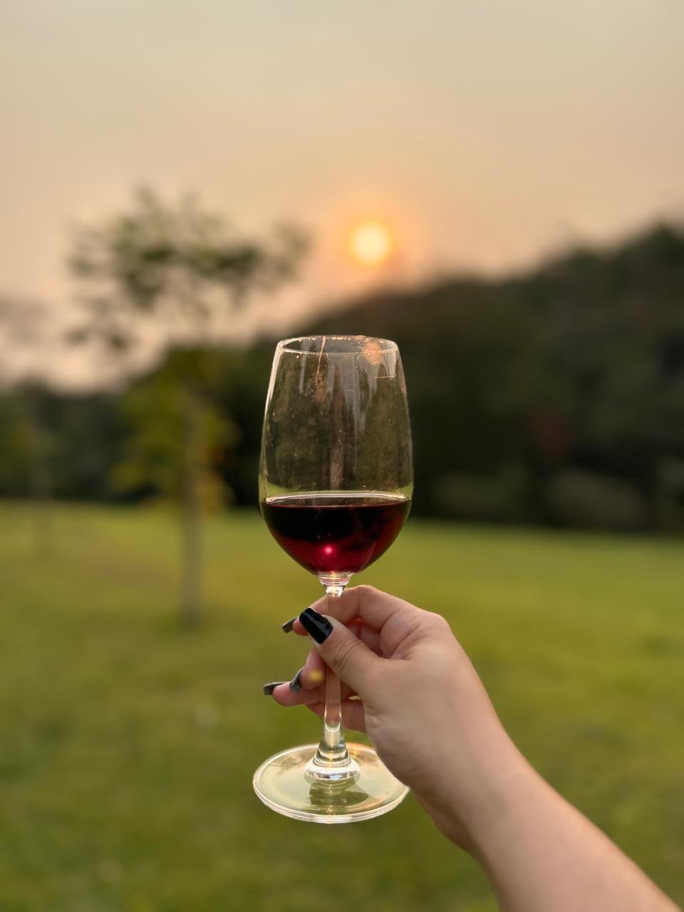 Taça de vinho tinto erguida ao pôr do sol na fazenda